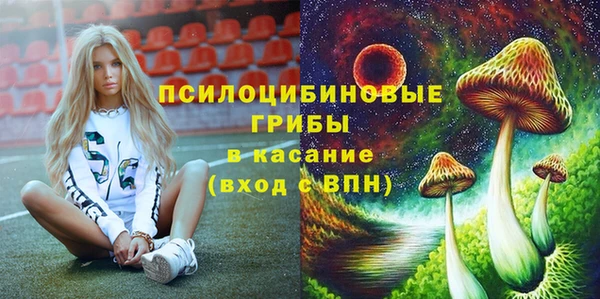 прущий лед Армянск